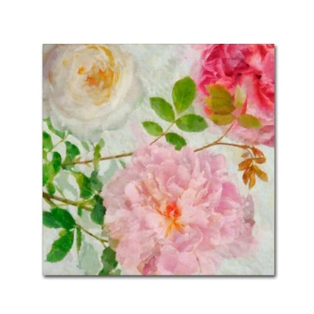 Cora Niele 'Peonies And Roses I' Canvas Art,14x14